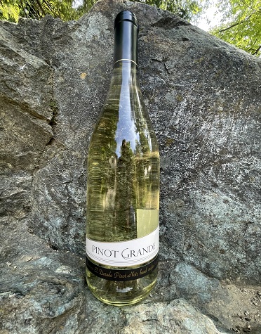 Product Image for White Pinot Noir 2020
