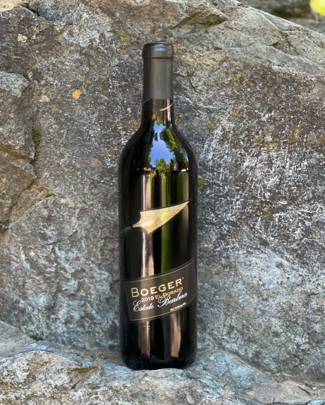 Product Image for Estate Barbera 2019